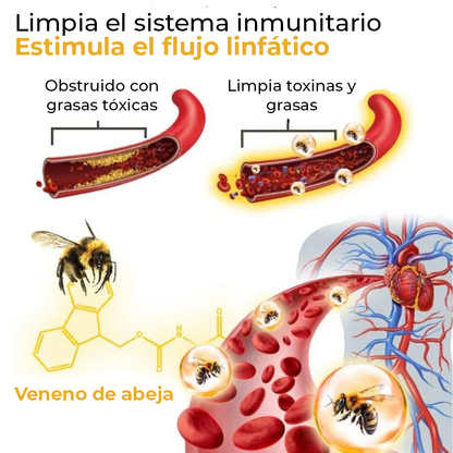 DetoxPerlen™ | ¡Pierde 10 kg en un mes! ¡Sin dietas, sin entrenamientos!