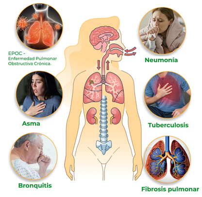 ClearDetox™ | Recupera la salud de tus pulmones en solo 7 días