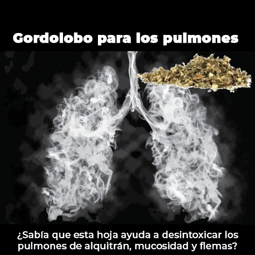 NaturLeaf™ | Purifica tus pulmones del cigarrillo en tan solo 7 días (1+1 GRATIS)