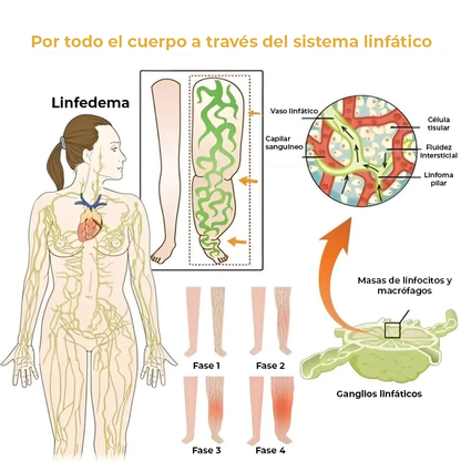 DetoxPerlen™ | ¡Pierde 10 kg en un mes! ¡Sin dietas, sin entrenamientos!