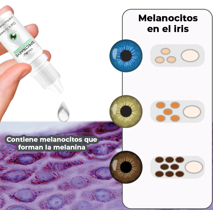 SpectraEye™ | Transforma tus ojos en tan solo 2 horas y disfruta de unos ojos vibrantes hasta por 7 días